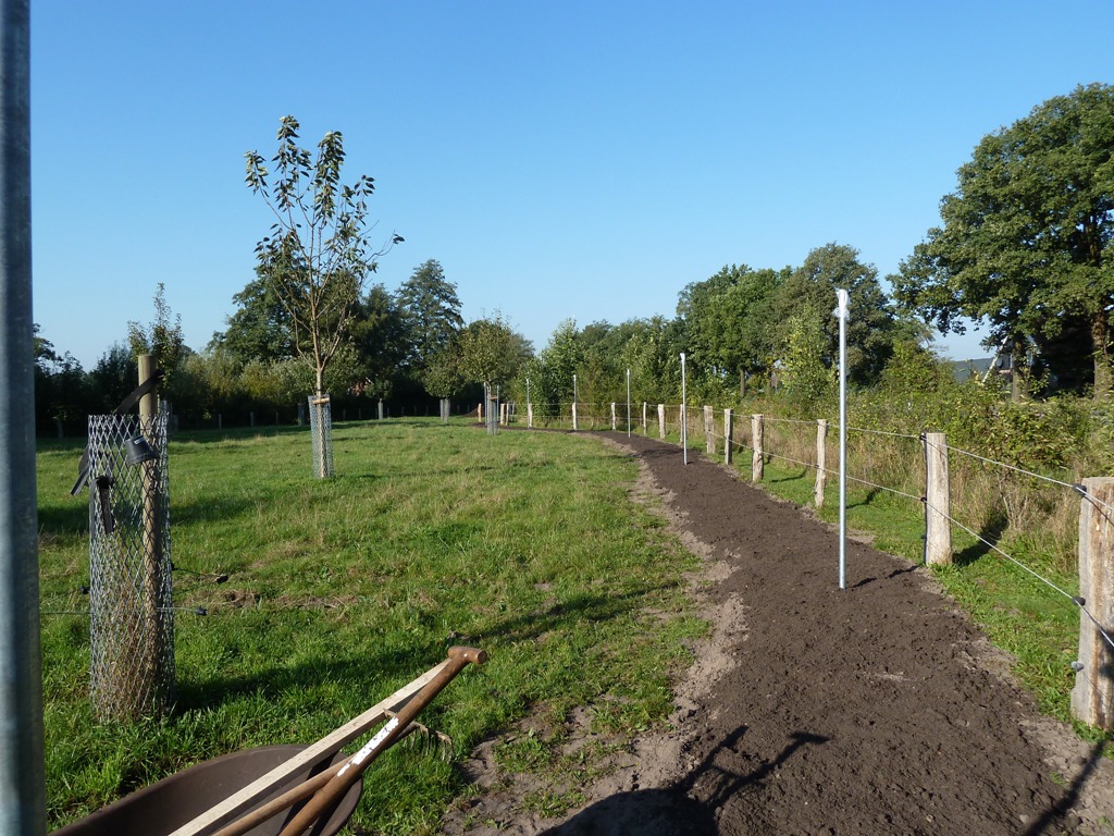 Fruithaag aanleggen; Na het voorzien compostlaag
